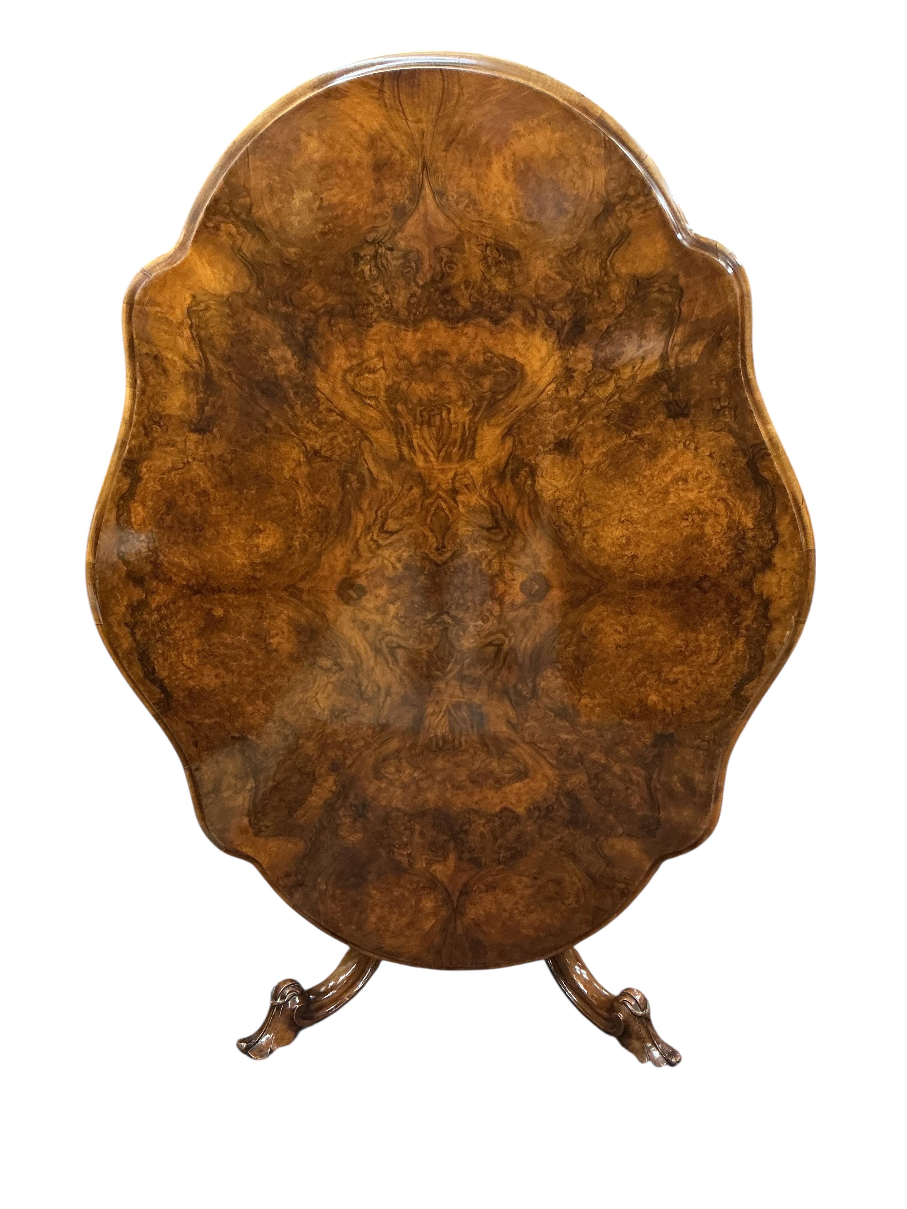 A Victorian oval burr walnut tilt top loo table, width 114cm, depth 146cm, height 74cm